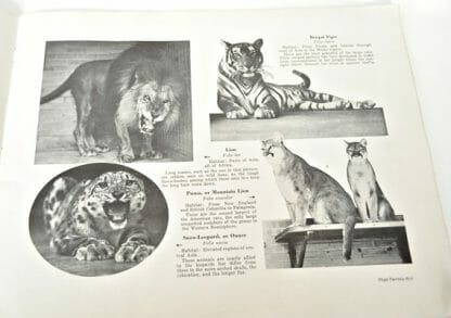 1937 Saint Louis Zoological Souvenir Guide Book
