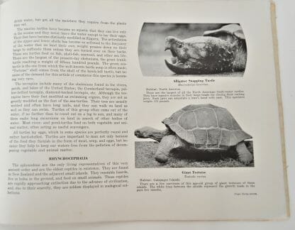 1937 Saint Louis Zoological Souvenir Guide Book