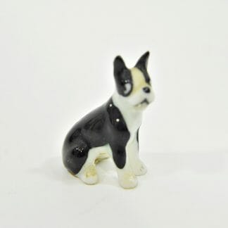 Miniature Boston Terrier
