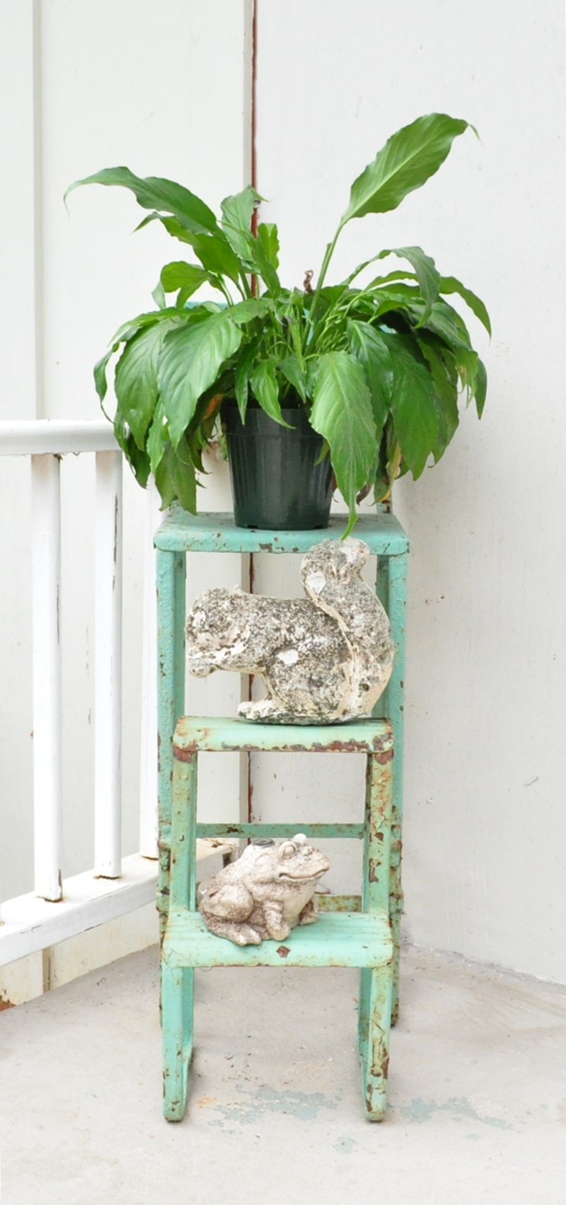 Vintage, aqua, step stool used as a plant stand with a concrete squirrel and a concrete, frog sprinkler as accents.