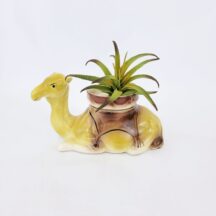 Vintage Pottery Camel Planter