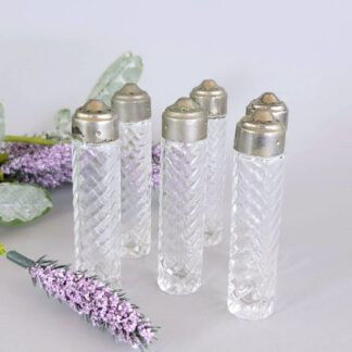 Glass spiral salt shakers with metal tops