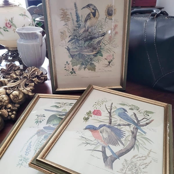 Arthur Singer bird prints